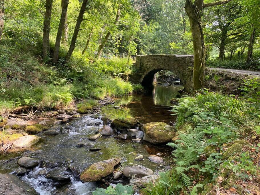 Cuckoo Cabin, Tyn Y Cwm Eglwys-Fach ภายนอก รูปภาพ